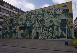 Rozmawiamy z Wojciechem Kołaczem o muralach.
