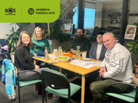 Znamy już zwycięzców konkursu grantowego w ramach projektu "Akademia Fundacji BOŚ"