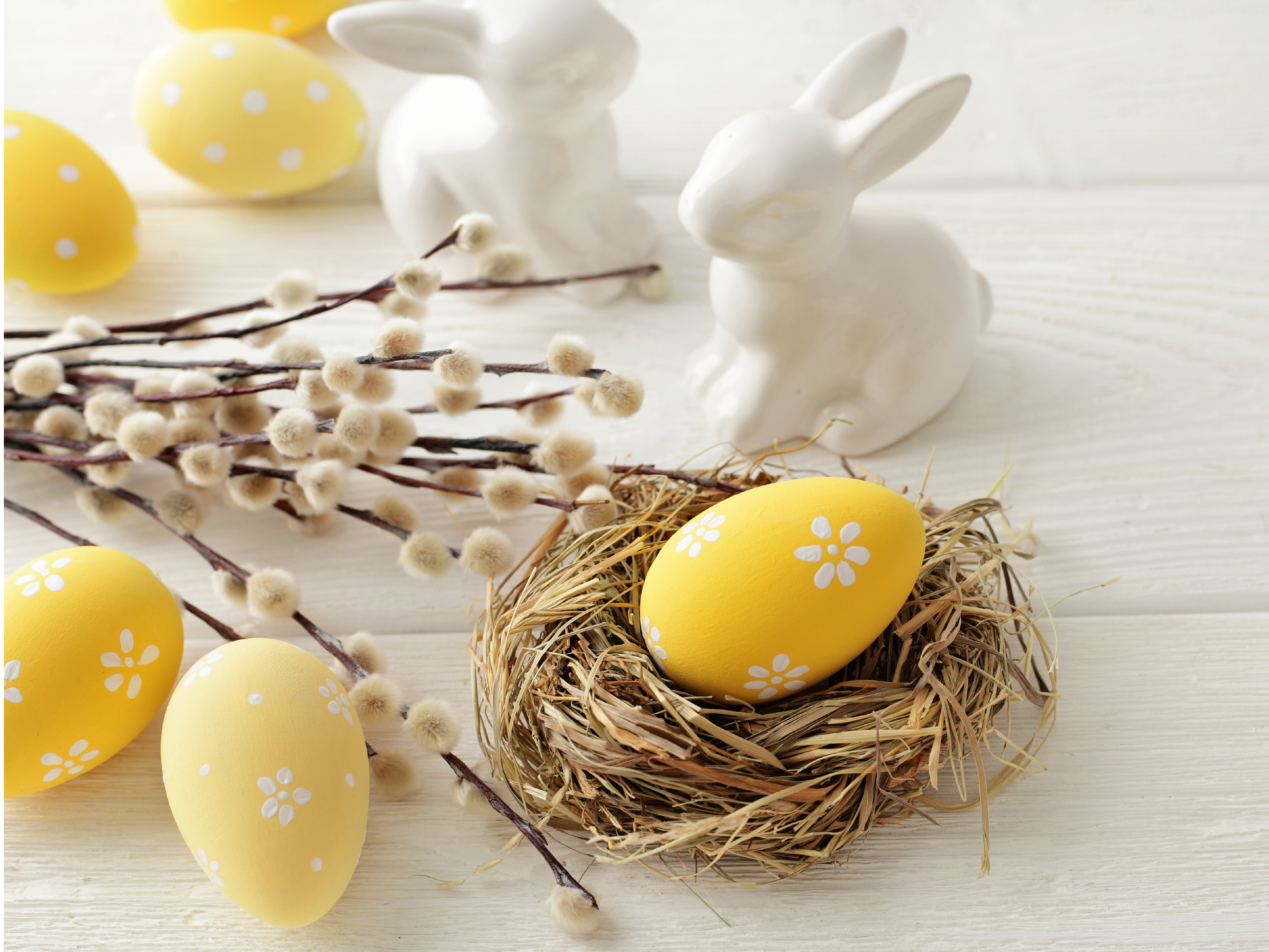 Radosnych Świąt Wielkanocnych!