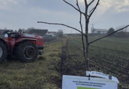 Wyniki wiosennej edycji Mikrodotacji 2026