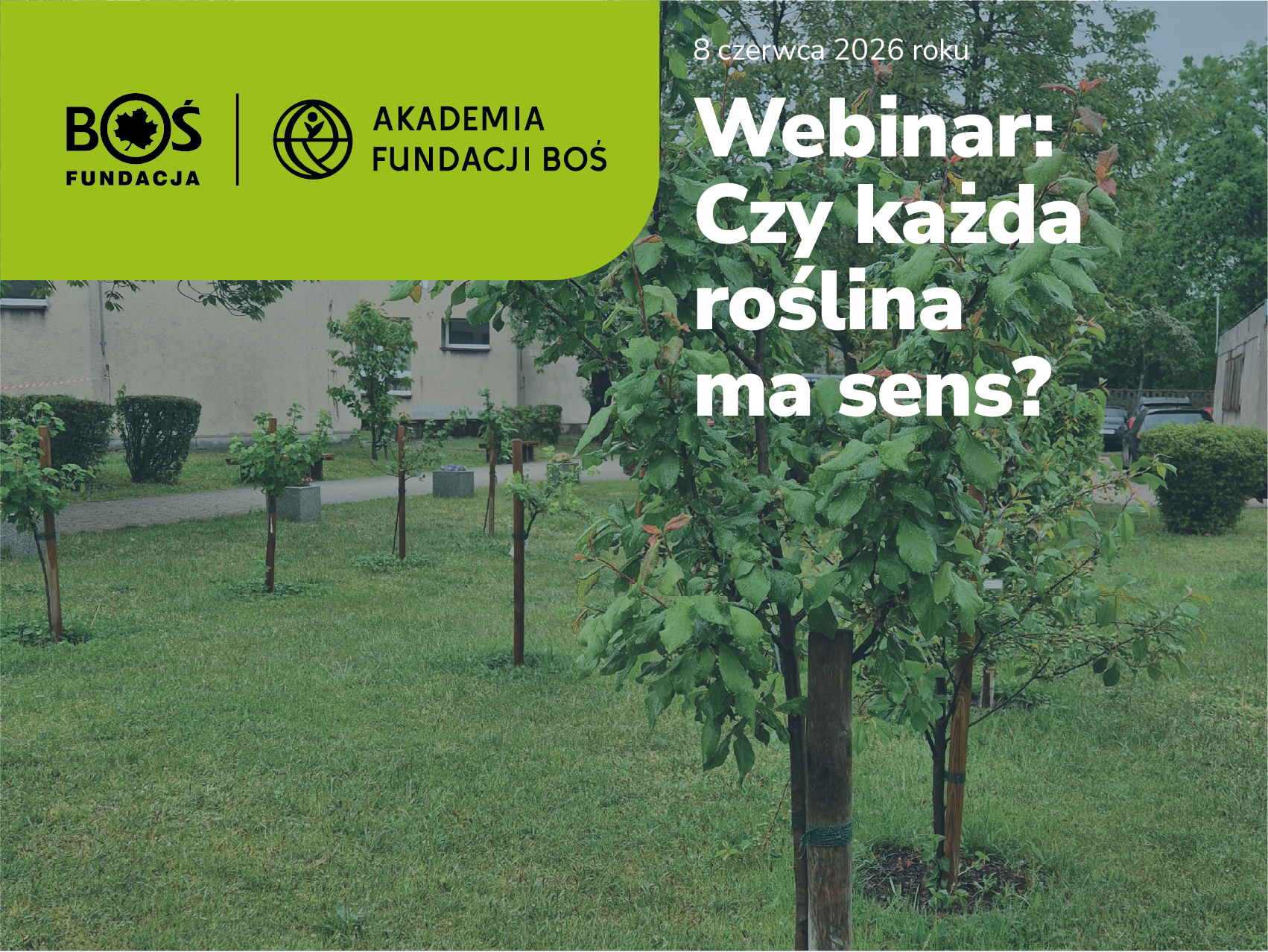 Webinar „Czy każda roślina ma sens?”