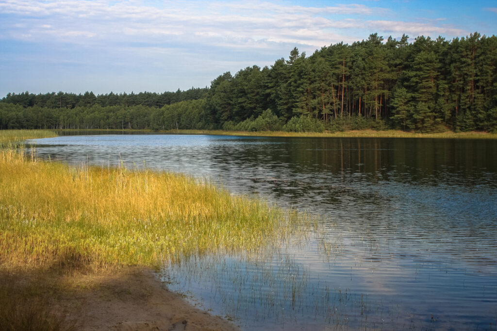 Park Narodowy „Bory Tucholskie”