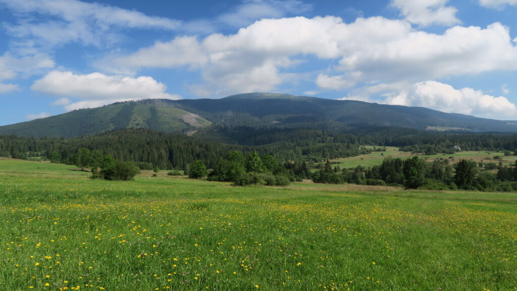 Babiogórski Park Narodowy