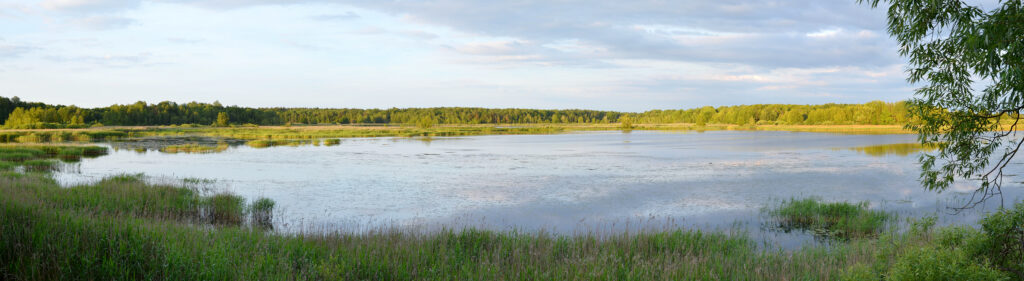 Poleski Park Narodowy