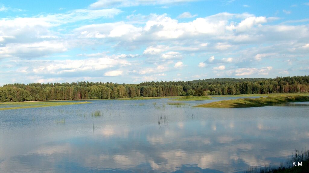 Roztoczański Park Narodowy